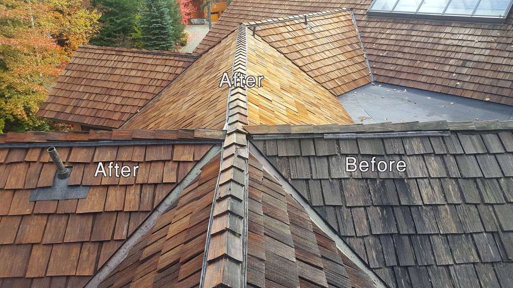 99 Cleaning Solutions of Whistler and Squamish | 1500 Spring Creek Dr #42, Whistler, BC V8E 0L2, Canada | Phone: (604) 907-1210