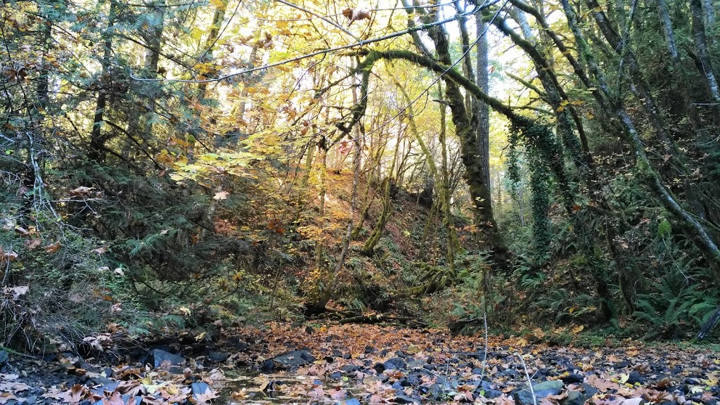 Tod Inlet trail Entrance. | 6537 Wallace Dr, Brentwood Bay, BC V8M 1J8, Canada