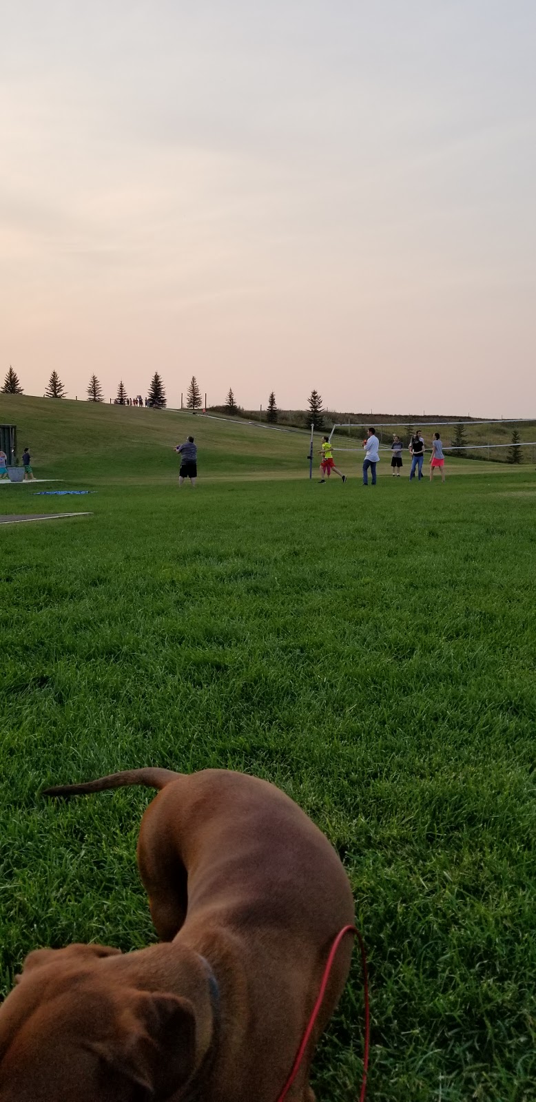 Magrath Stake Campground | Magrath, AB T0K 1J0, Canada | Phone: (403) 331-1066