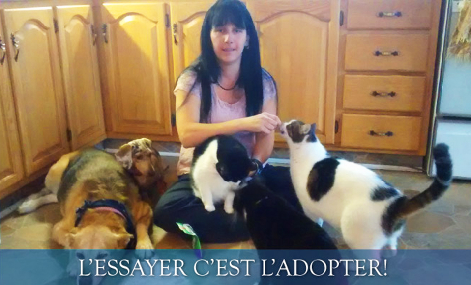 Esthétique Animale | 1338 Bd Raymond, Québec, QC G1B 1X9, Canada | Phone: (418) 802-8471