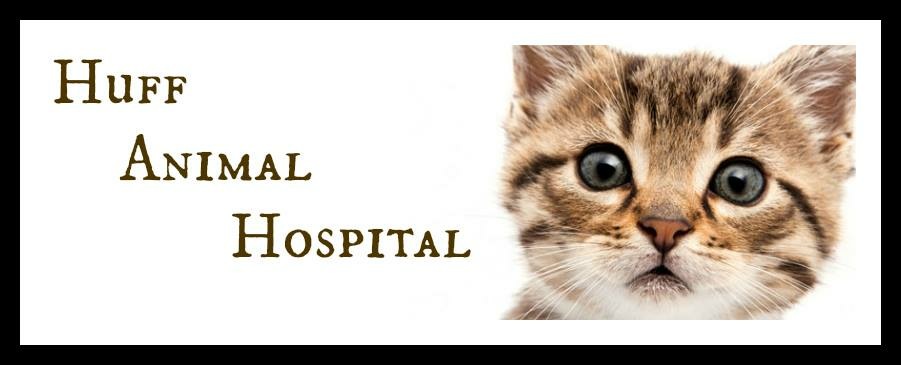 Huff Animal Hospital | 1512 56 St, Delta, BC V4L 2A8, Canada | Phone: (604) 943-1124