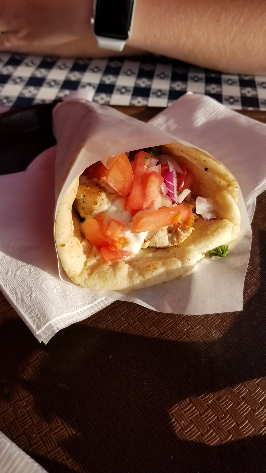 Barpa Bills at Tonys Greek Grill | 5009 Hot Springs Rd, Fairmont Hot Springs, BC V0B 1L1, Canada | Phone: (250) 345-0050