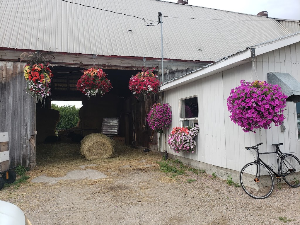 Ferme Monarque | 610 Rue de Quen, Saint-Gédéon, QC G0W 2P0, Canada | Phone: (581) 235-8541