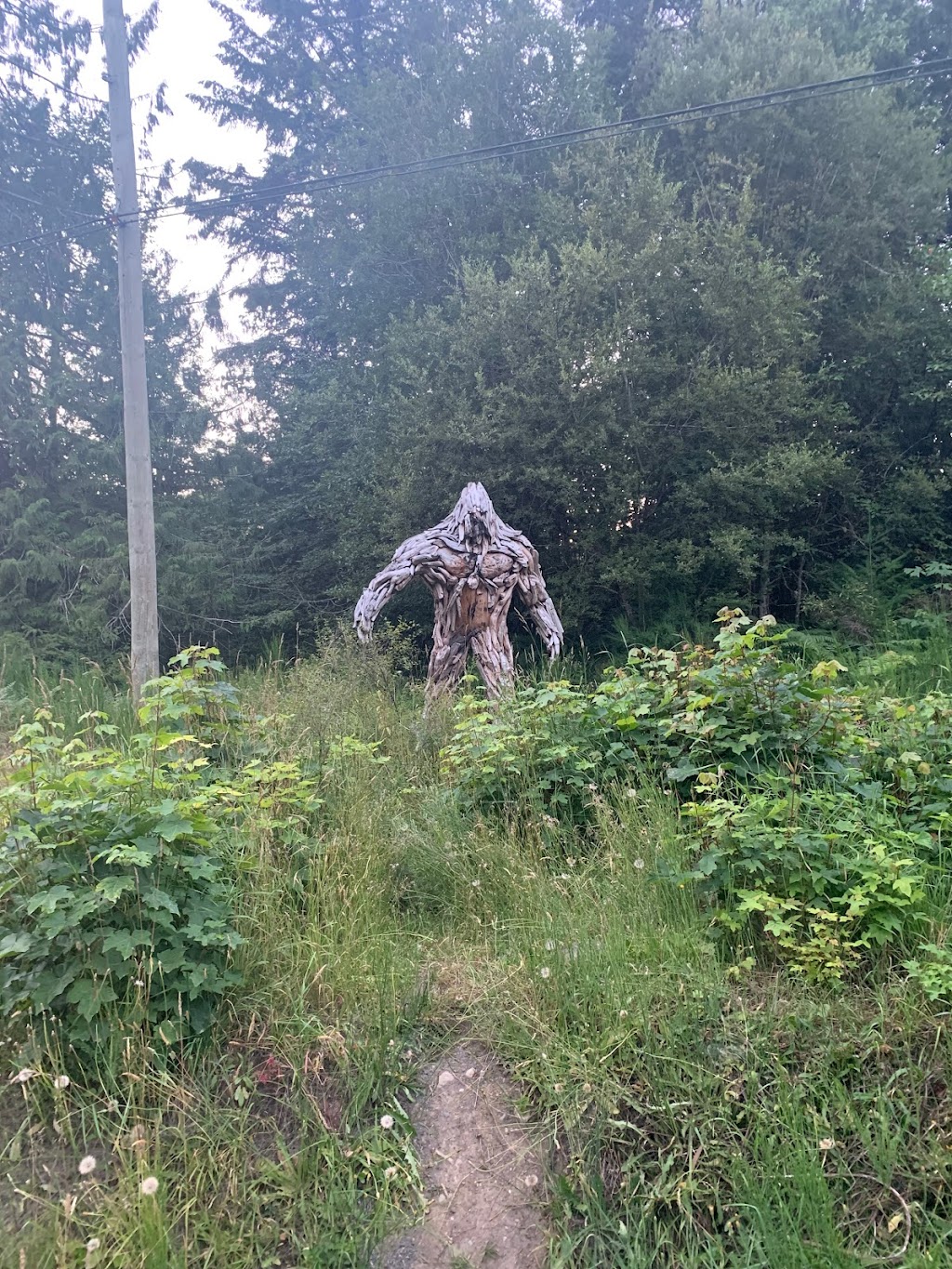 Bigfoot The Guardian | 4289 Barnjum Rd, Sahtlam, BC V9L 6G5, Canada | Phone: (250) 202-5520
