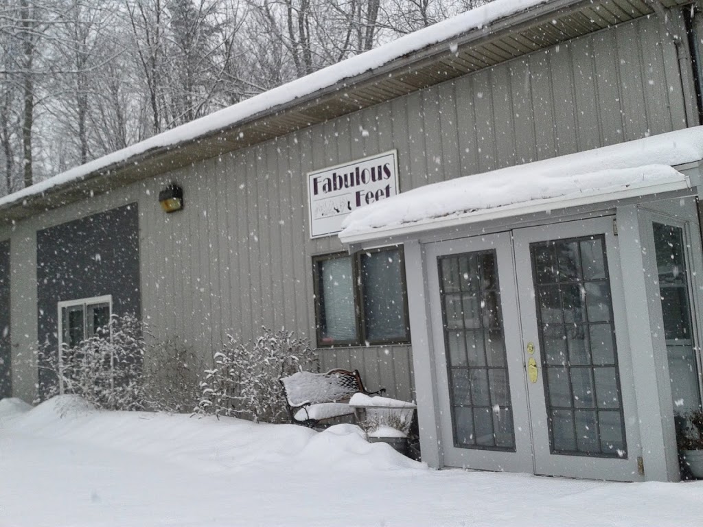 Fabulous Feet Dance Studio | 3939 Pine Grove Ave, Fort Gratiot Twp, MI 48059, USA | Phone: (810) 982-8900