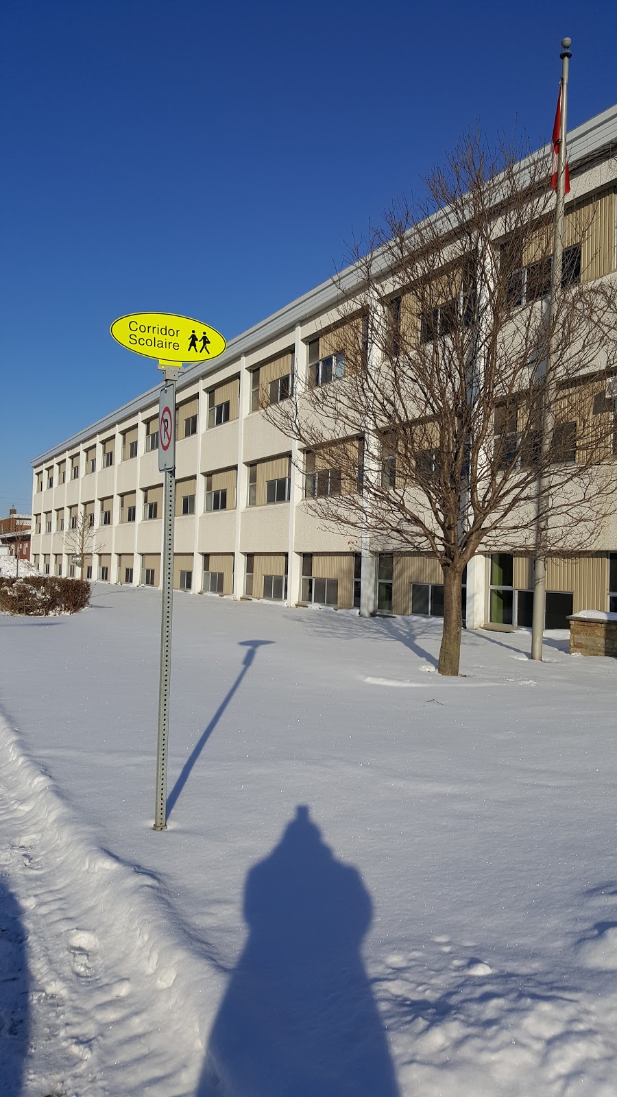 École Beaulieu | 135 Boulevard du Séminaire N, Saint-Jean-sur-Richelieu, QC J3B 5K2, Canada | Phone: (450) 347-8344
