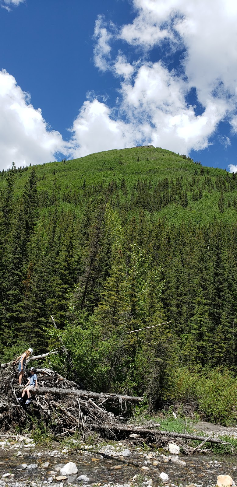 Sibbald Meadows Pond - Provincial Recreation Area | Kananaskis, AB T0L, Canada | Phone: (403) 678-0760