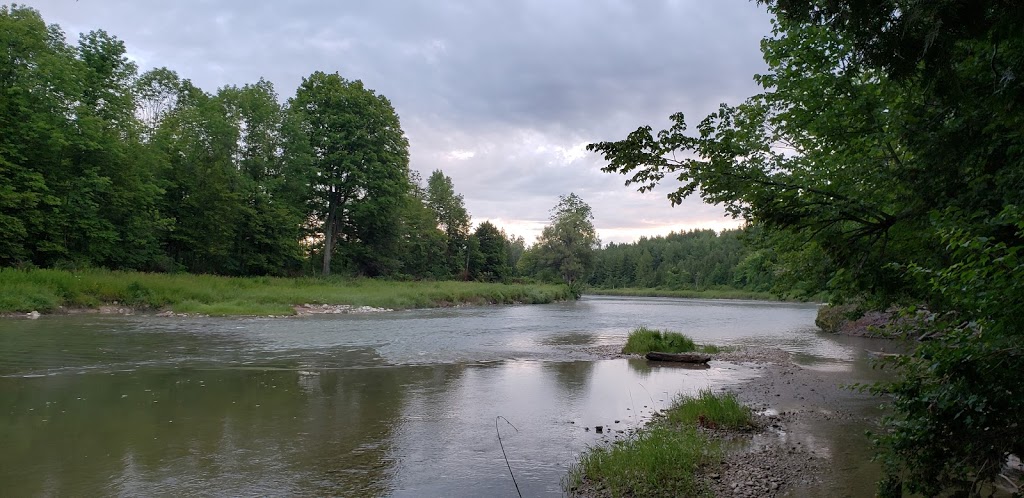 McBeath Conservation Area | 1039 Conc, 2 Elderslie, Paisley, ON N0G 2N0, Canada | Phone: (519) 367-3040