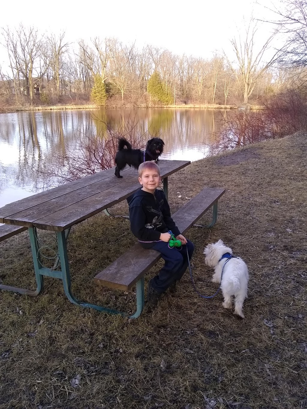 Brantford Pet Sitter | 25 Killarney St, Brantford, ON N3T 6L4, Canada | Phone: (647) 606-3647