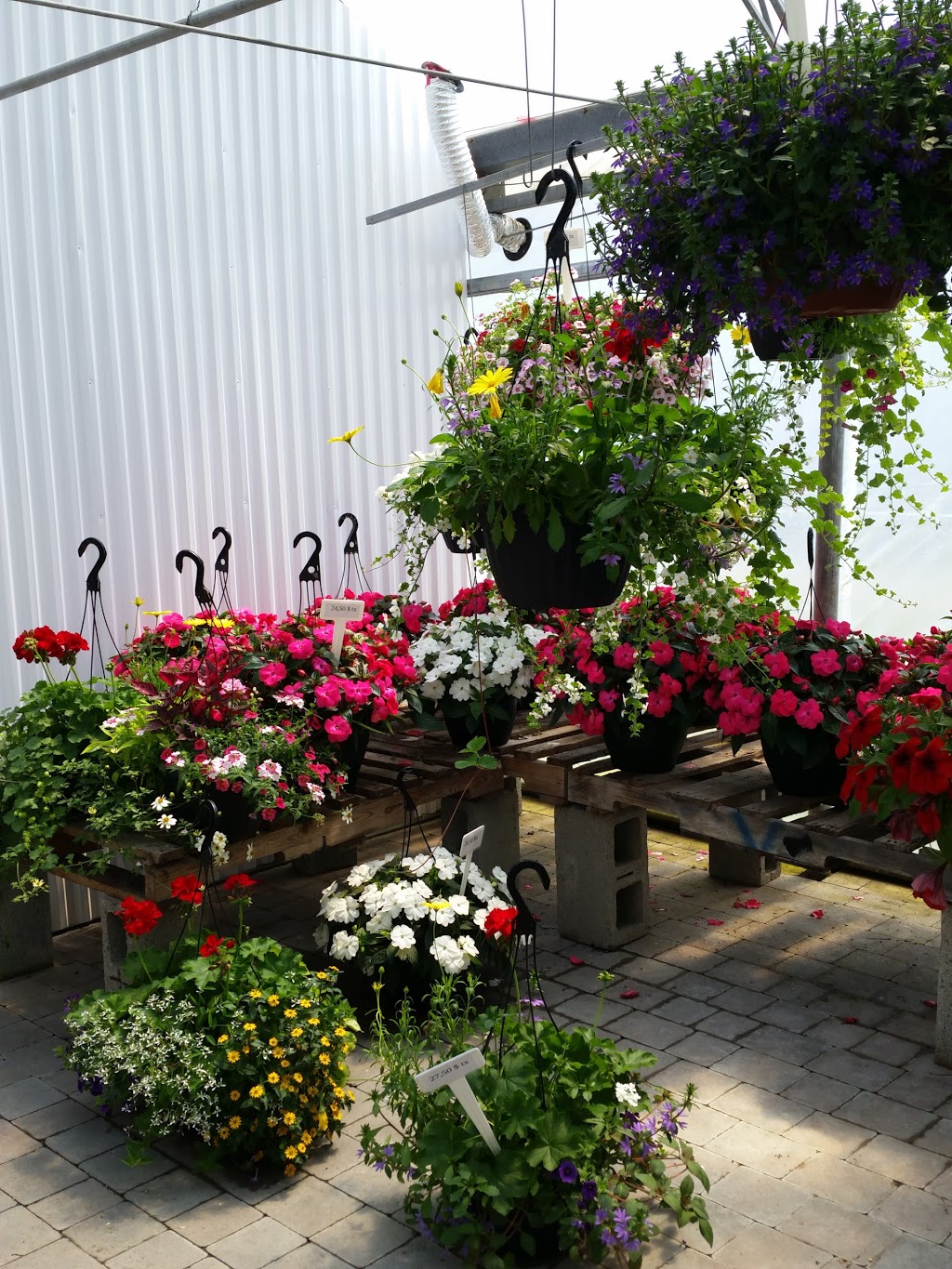 Serres Andre Locas Inc Florist 3280 Bd Ste Rose Laval