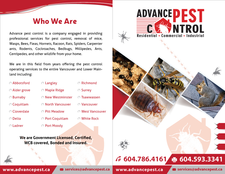 Pest Control Burnaby | 5389 Gilpin St, Burnaby, BC V5G 2H8, Canada | Phone: (604) 786-4161