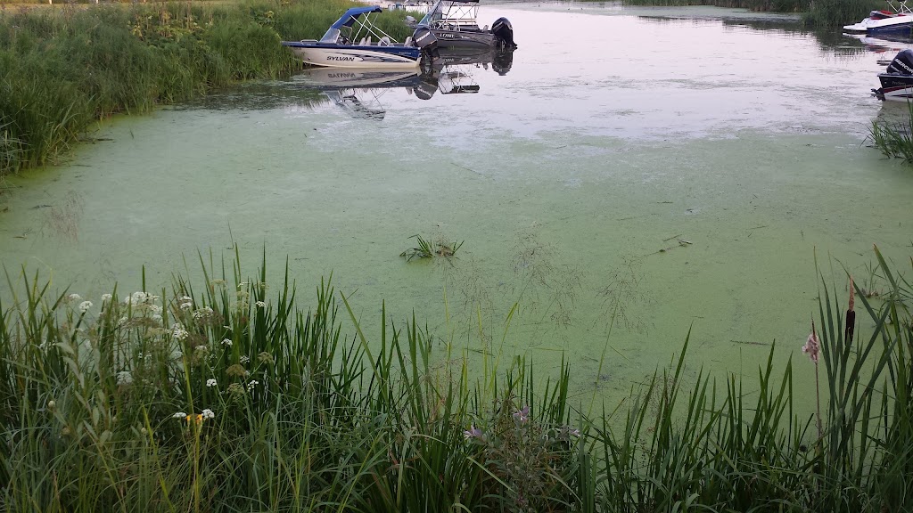 Buck Lake Provincial Recreation Area | Wetaskiwin County No. 10, AB T0C 0S0, Canada | Phone: (780) 586-2864