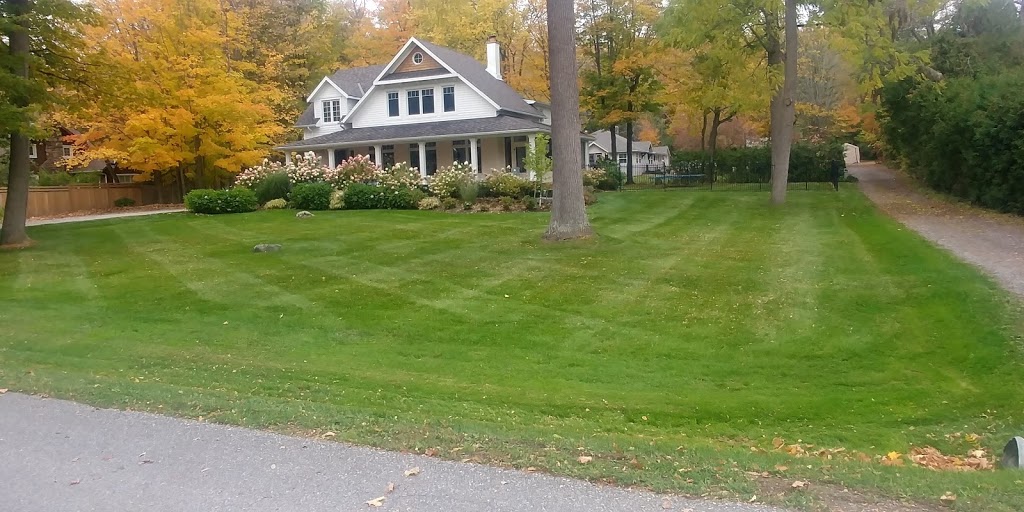 Dreamscapes Landscaping | 620 E Waseosa Lake Rd, Huntsville, ON P1H 2J4, Canada | Phone: (705) 795-4556