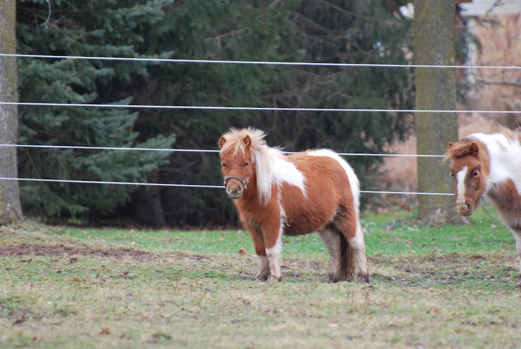 Countryside Fencing | 9 Joshua Ct #2, Welland, ON L3C 7E3, Canada | Phone: (905) 651-4236