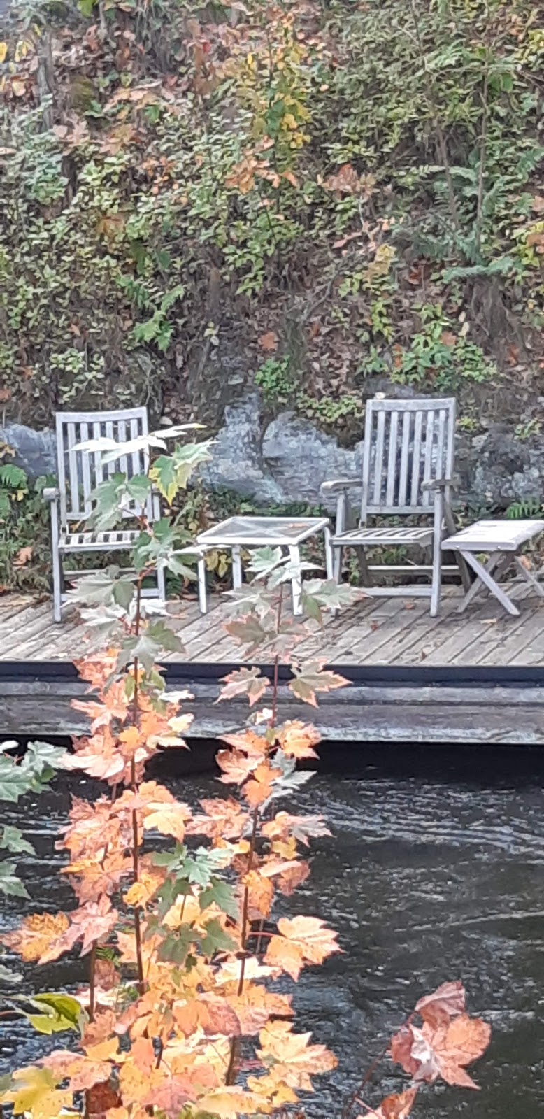 Muskoka Bear Wear - BALA (CLOSED FOR THE SEASON) | 3145 Muskoka District Road 169 #3, Bala, ON P0C 1A0, Canada | Phone: (705) 762-1004