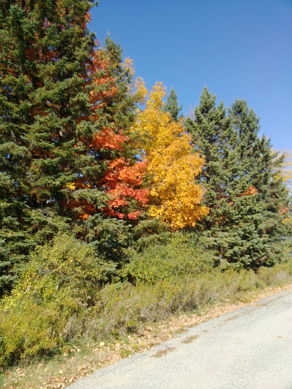 Cold Creek Conservation Area | 14125 11th Concession, Nobleton, ON L0G 1N0, Canada | Phone: (905) 833-5321