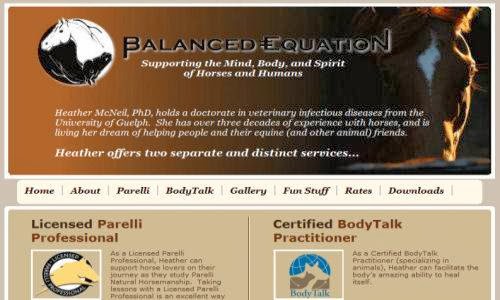 Equine Web Design Canada | 3489 NB-115, Dundas Parish, NB E4V 2C9, Canada | Phone: (506) 345-0915