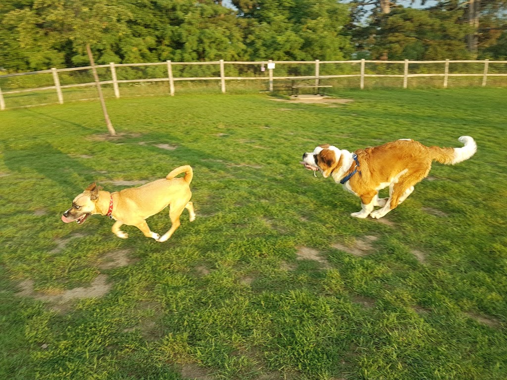 Leash Free Milton | 230 Cedar Hedge Rd, Milton, ON L9T 6J4, Canada | Phone: (905) 875-3286