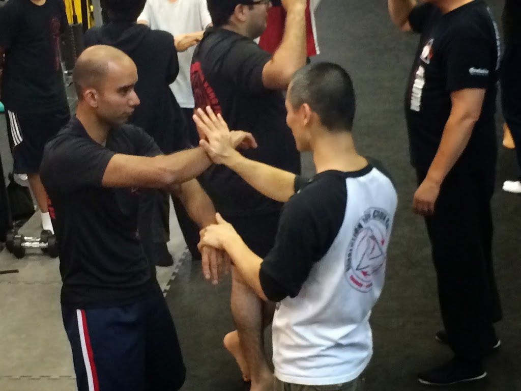 Revolution Wing Chun Kung Fu - Mississauga | 3330 Ridgeway Dr Unit 2, Mississauga, ON L5L 5Z9, Canada | Phone: (226) 899-4971