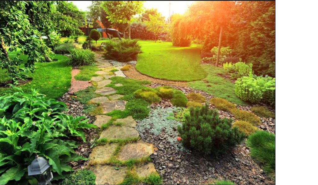 TOM’S GARDEN SERVICES | 6461 Bella Vista Dr, Victoria, BC V8Z 7G6, Canada | Phone: (250) 217-3101