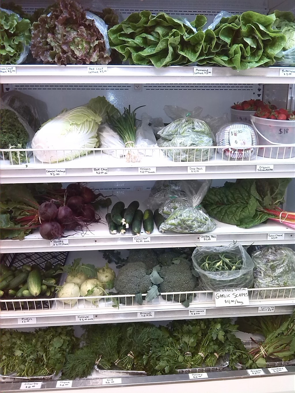 Kurbis Country Market | 42055 Hwy 317, Dencross, MB R0E 0C0, Canada | Phone: (204) 265-3082