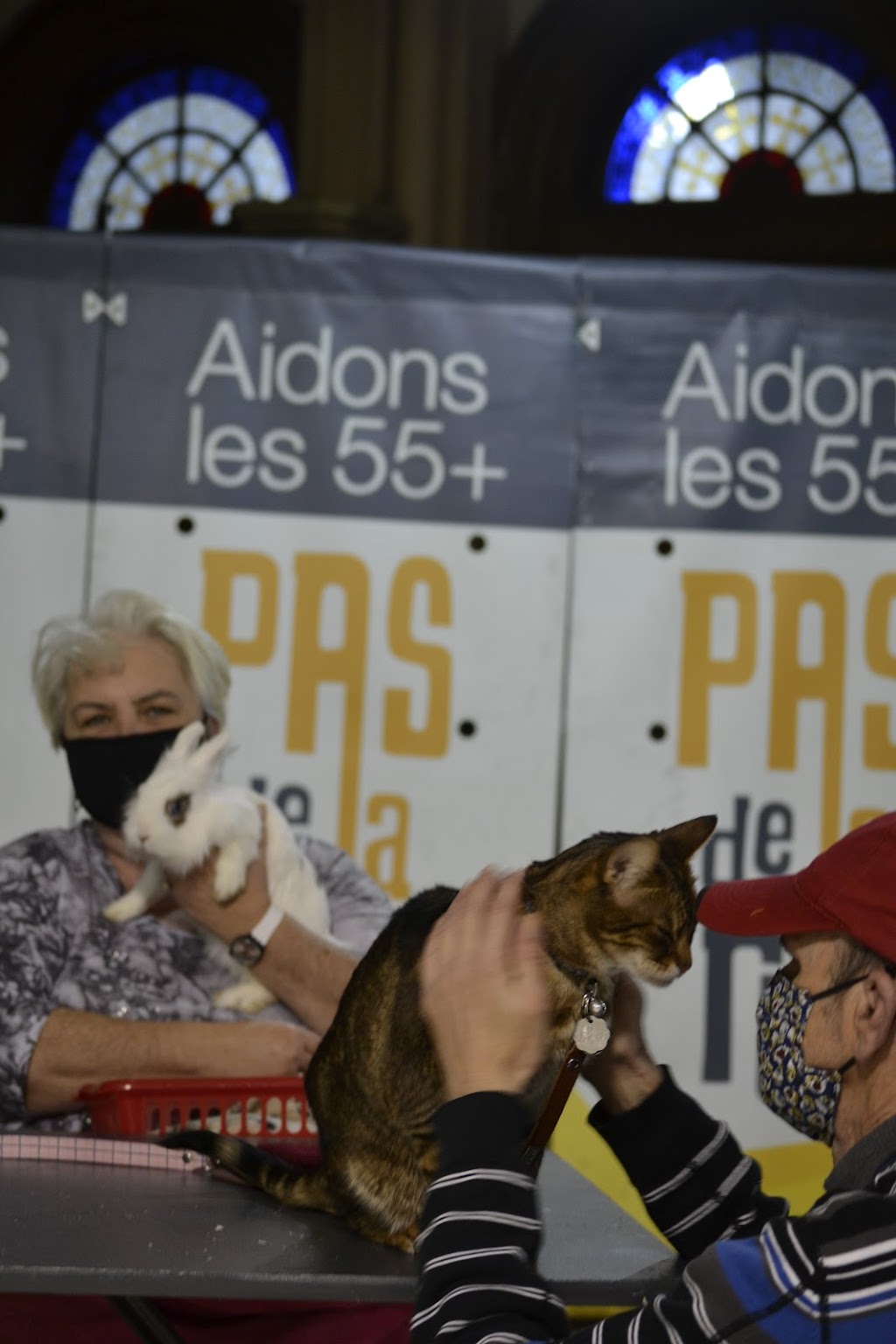PAS de la rue | 9605 Rue Hochelaga, Montréal, QC H1L 0B5, Canada | Phone: (514) 419-1696