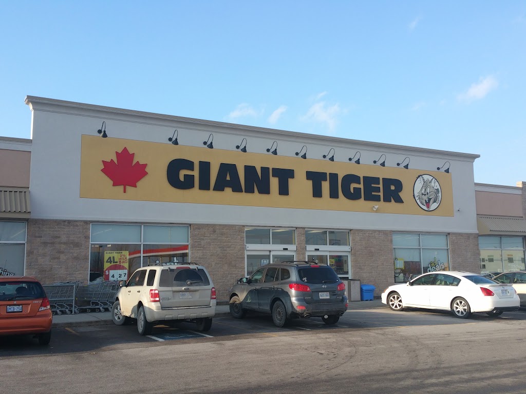 Giant Tiger | 320 Coleman St, Carleton Place, ON K7C 0B5, Canada | Phone: (613) 253-5564
