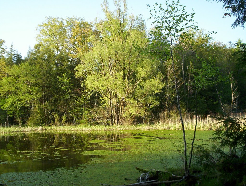 Case Woodlot | Aurora, ON L4G 5W2, Canada