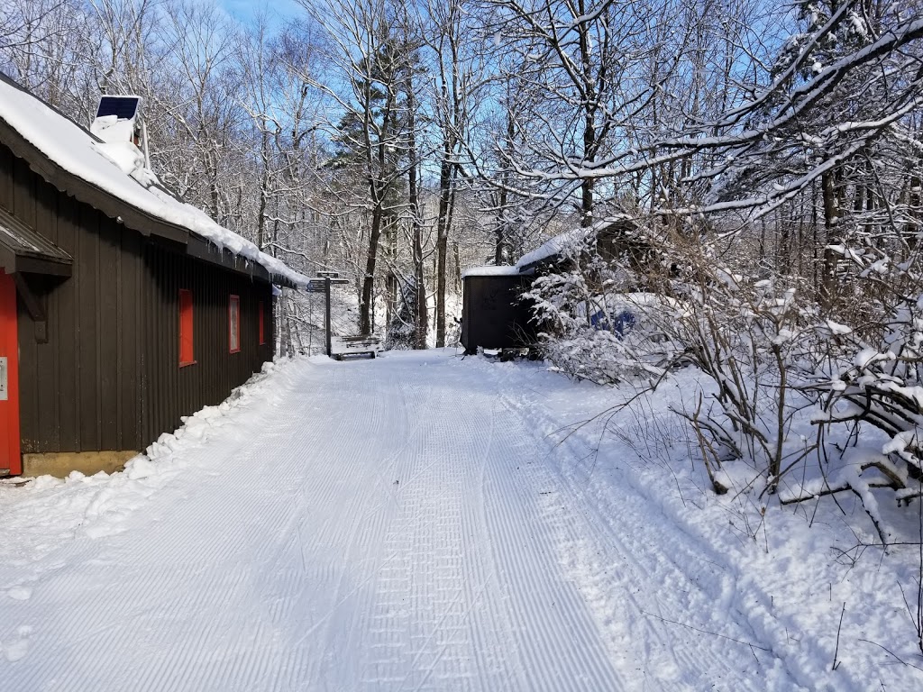 Huron Shelter | Trail 1, Chelsea, QC J9B 1H9, Canada | Phone: (819) 827-2020