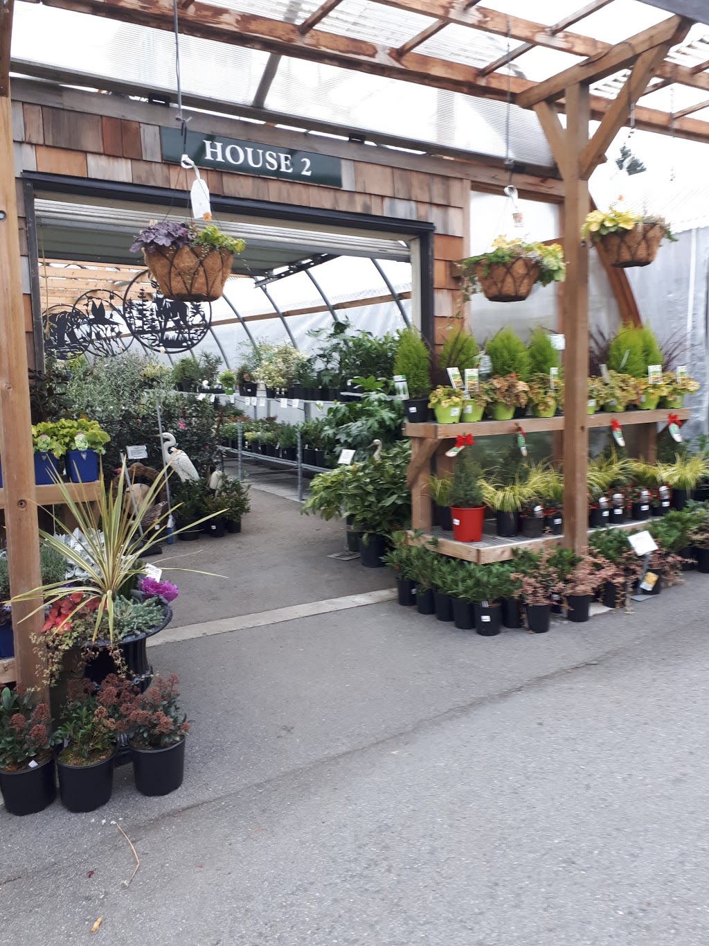 Maple Leaf Garden Centre | 2558 Haywood Ave, West Vancouver, BC V7V 1Y4, Canada | Phone: (604) 922-2613