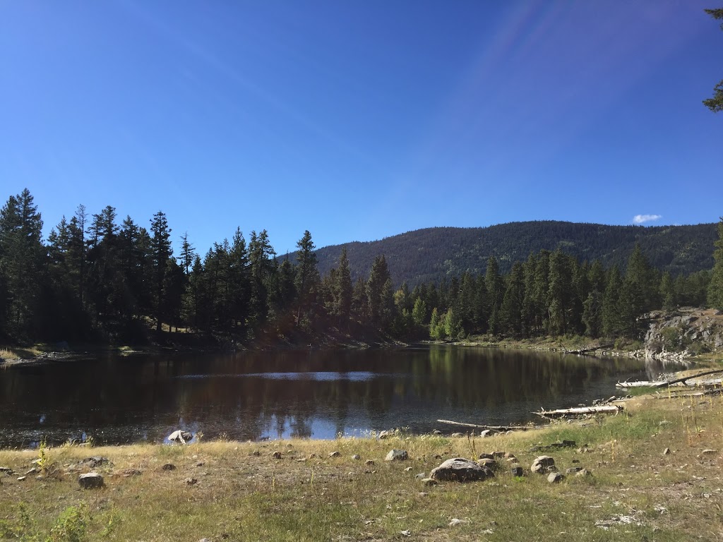 Okanagan ATV Tours | 5463 McDougald Rd, Peachland, BC V0H 1X8, Canada | Phone: (250) 717-0733