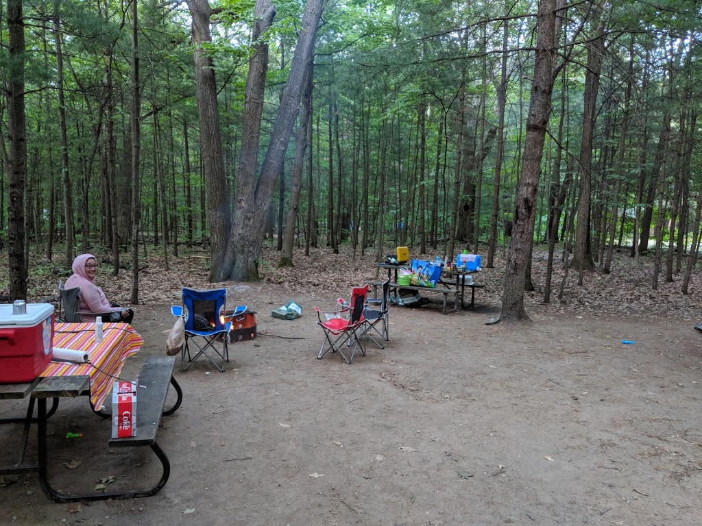 Turtle Campground | Tiny, ON L9M 1R2, Canada | Phone: (705) 549-2231