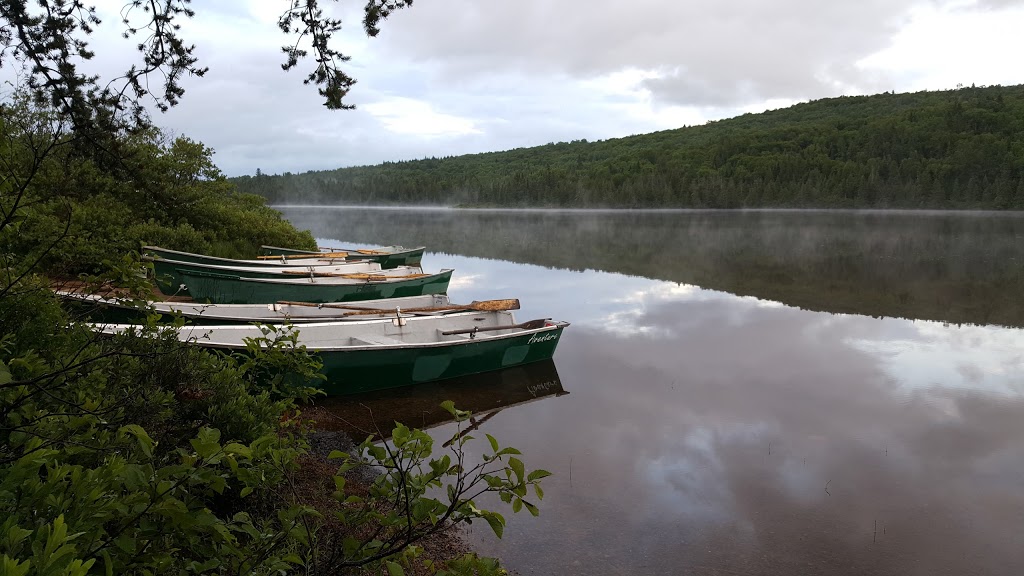 Wildlife Mastigouche | Rang des Pins-Rouges, Saint-Alexis-des-Monts, QC J0K 1V0, Canada | Phone: (800) 665-6527