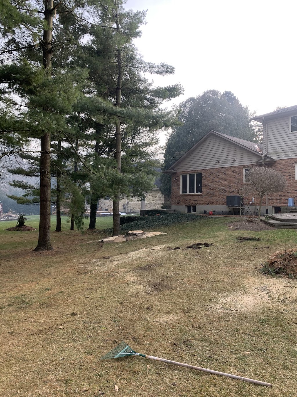 Sharpe Tree Service | 3020 River Dr, Wardsville, ON N0L 2N0, Canada | Phone: (519) 852-7061