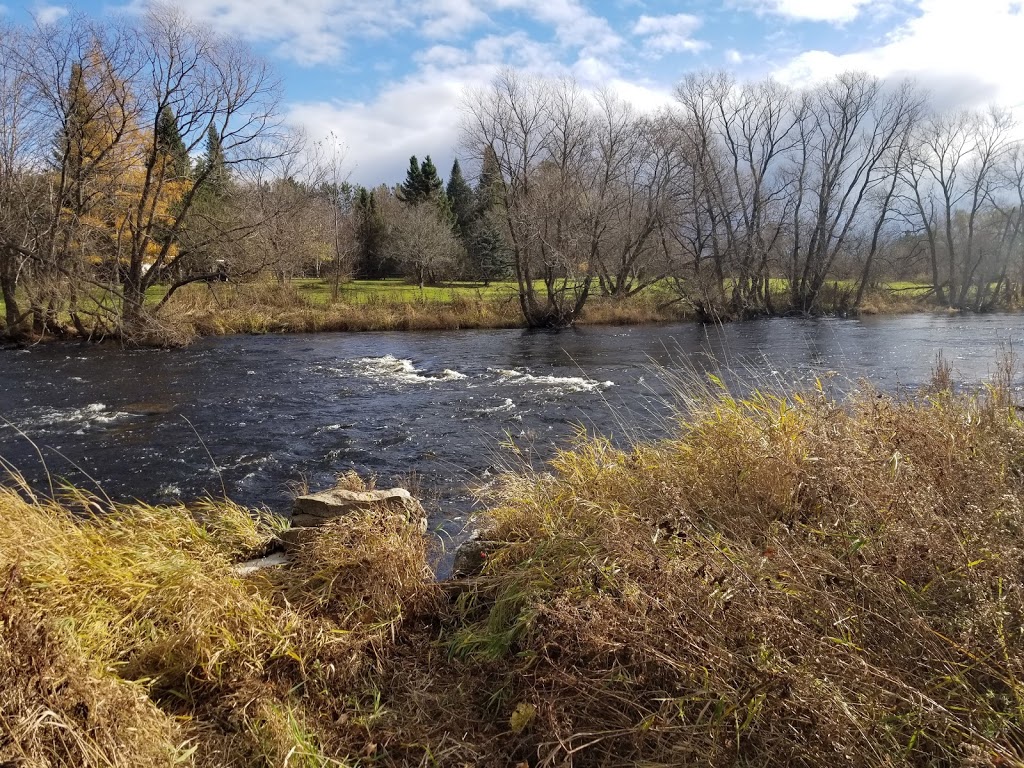 Brown Natural Area | Richmond, Ottawa, ON K0A 2Z0, Canada