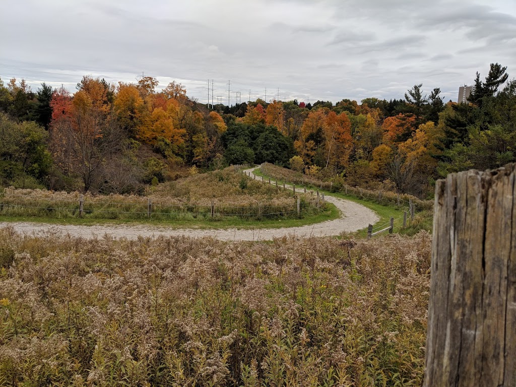 Botany Hill Park | 277 Orton Park Rd, Scarborough, ON M1G 3T4, Canada | Phone: (416) 392-2489