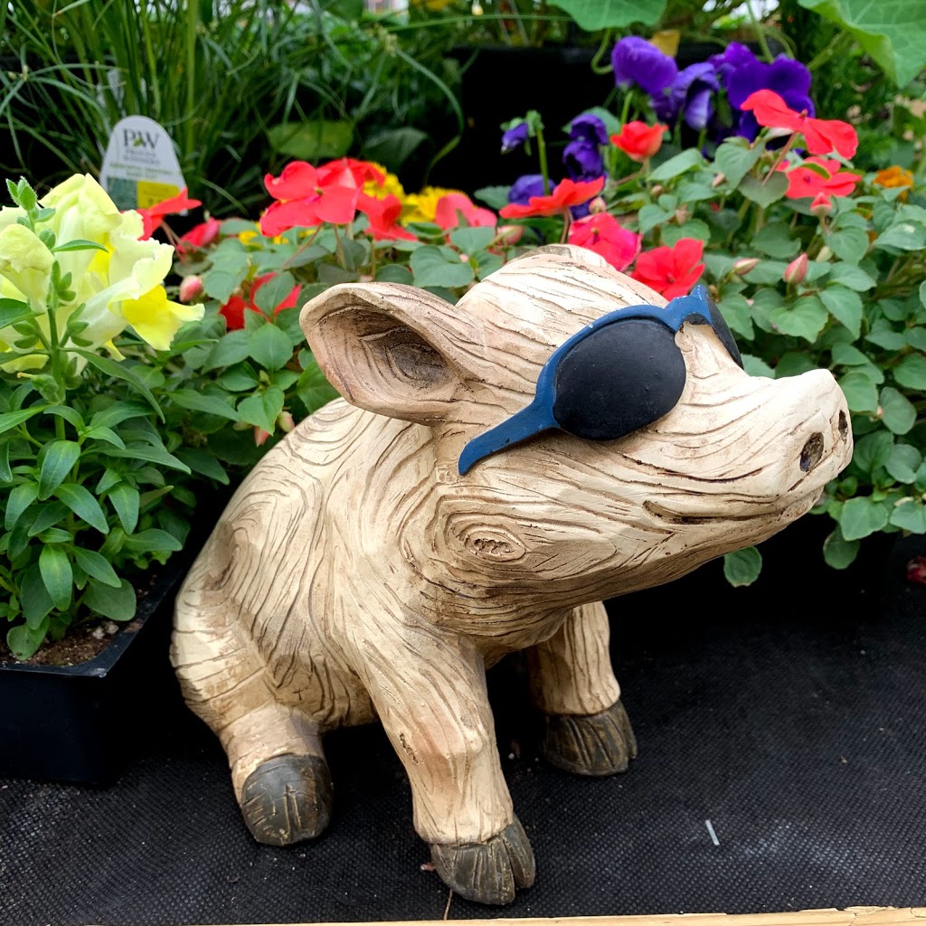Village Nursery | 430 New Cumberland Rd, Pleasantville, NS B0R 1G0, Canada | Phone: (902) 543-5649