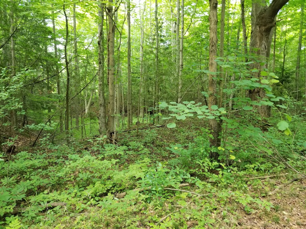 MacGregor point | 1593 Bruce County Rd 33, Port Elgin, ON N0H 2C0, Canada | Phone: (519) 389-9056