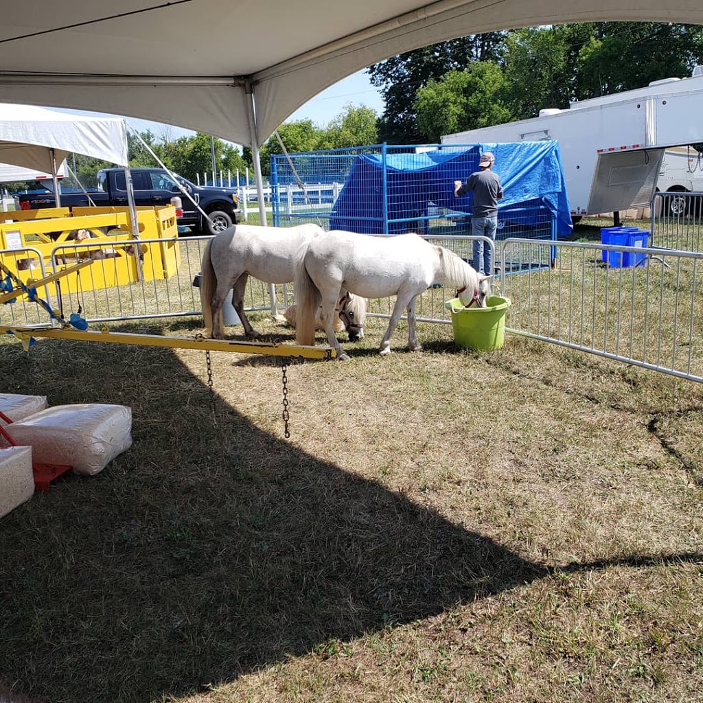 The Capital Fair | 4837 Albion Rd S, Gloucester, ON K1X 1A3, Canada | Phone: (613) 741-3247