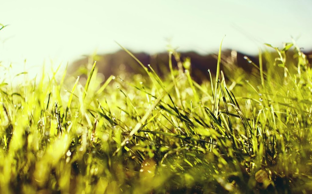 Grizzly Irrigation | 109 Tuscany Meadows Close NW, Calgary, AB T3E 4V1, Canada | Phone: (403) 796-5012