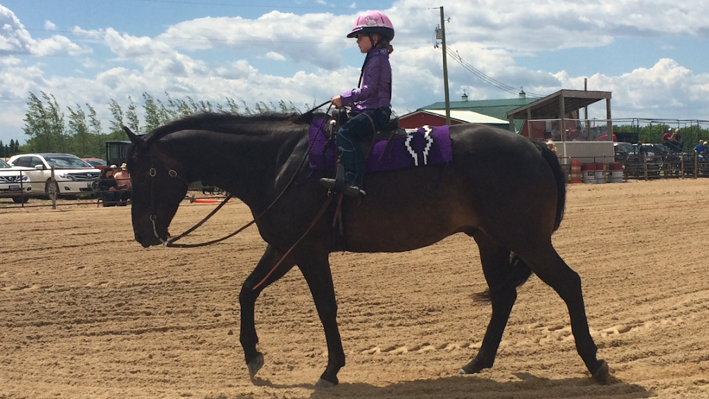 Helstrom Performance Horses | 960 Komarno Rd, Winnipeg Beach, MB R0C 3G0, Canada | Phone: (204) 389-3401