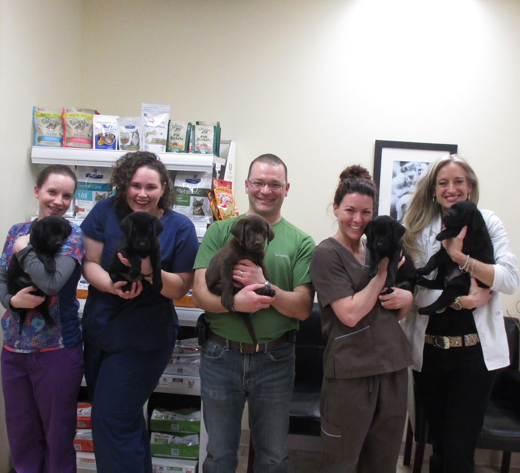 Sims Animal Hospital | 496 Discovery Ave #8, Kingston, ON K7K 7E9, Canada | Phone: (613) 531-3334