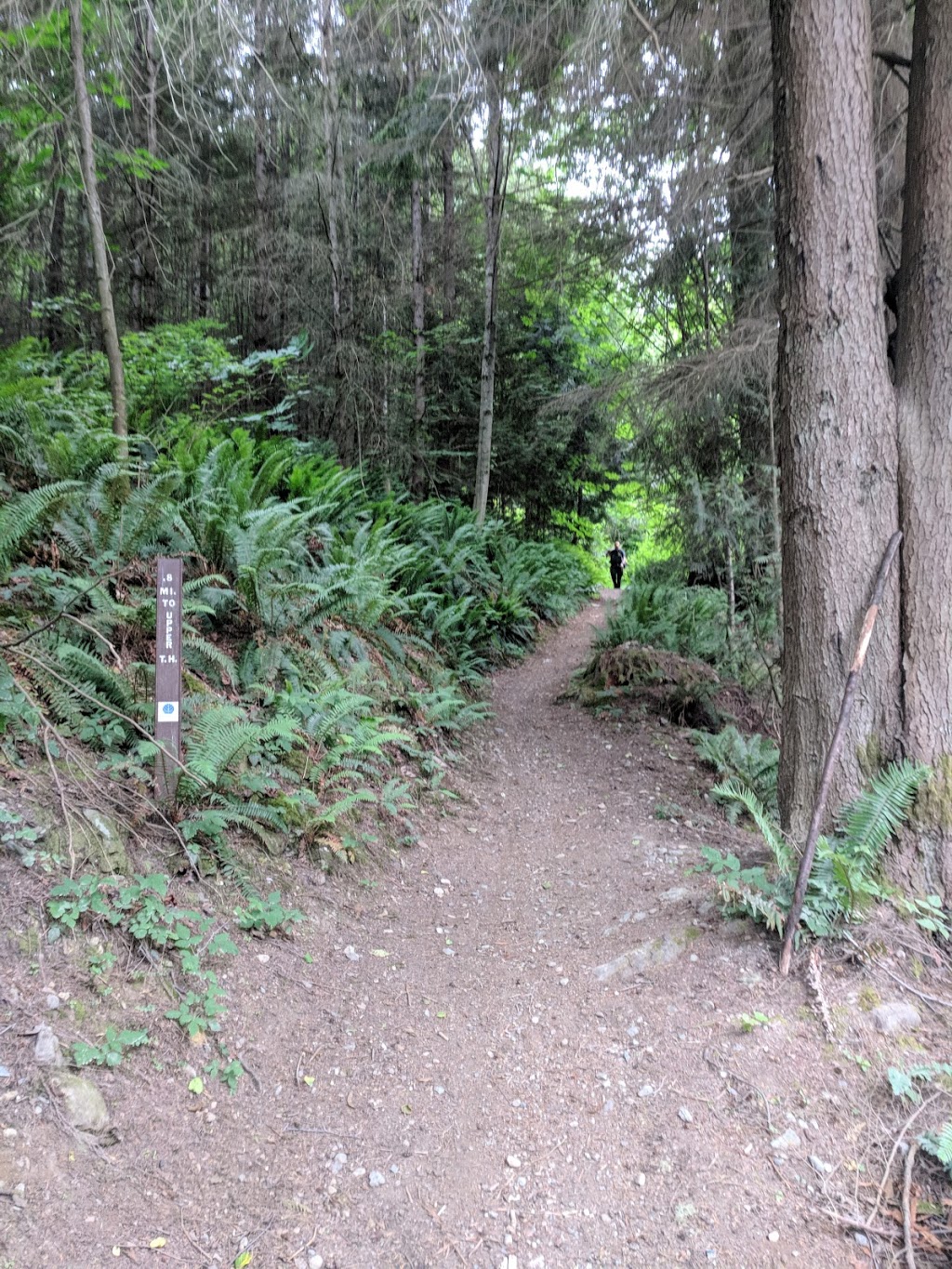 Blanchard mountain Trail Lower Parking lot | Bow, WA 98232, USA