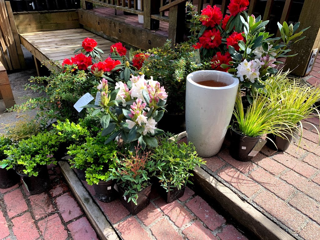 Foxglove Farm and Garden Supply | 104 Atkins Rd, Salt Spring Island, BC V8K 2R5, Canada | Phone: (250) 537-5531