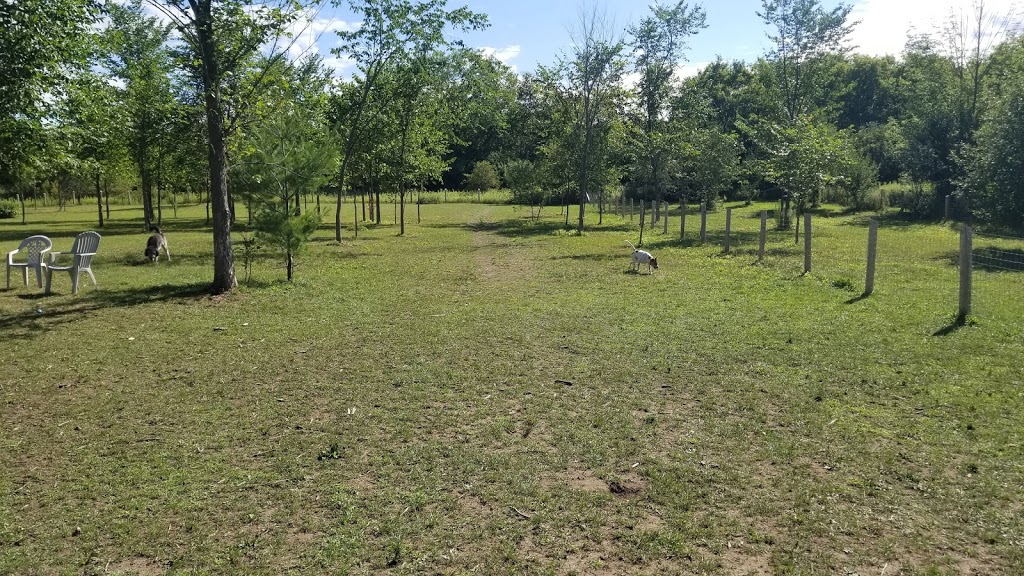 Scugog Animal Control Centre | Port Perry, ON L9L 1B2, Canada | Phone: (905) 985-9547