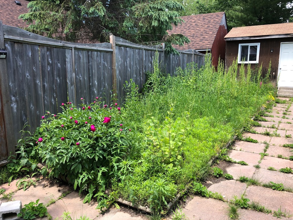 Lawn Love Property Maintenance | 12 Willis Pl, Uxbridge, ON L9P 1A6, Canada | Phone: (905) 490-0434