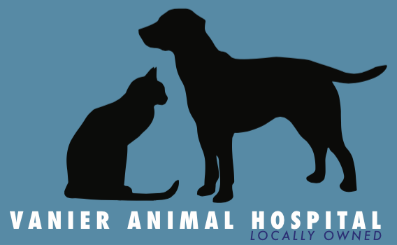Vanier Animal Hospital | 23-C Selkirk St (Located in Eastview Plaza), Ottawa, ON K1L 6N1, Canada | Phone: (613) 748-1234