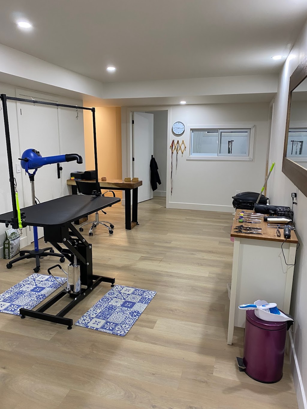 Toilettage et Compagnie | 1570 Boul Lévesque E, Laval, QC H7G 1E1, Canada | Phone: (450) 241-1212
