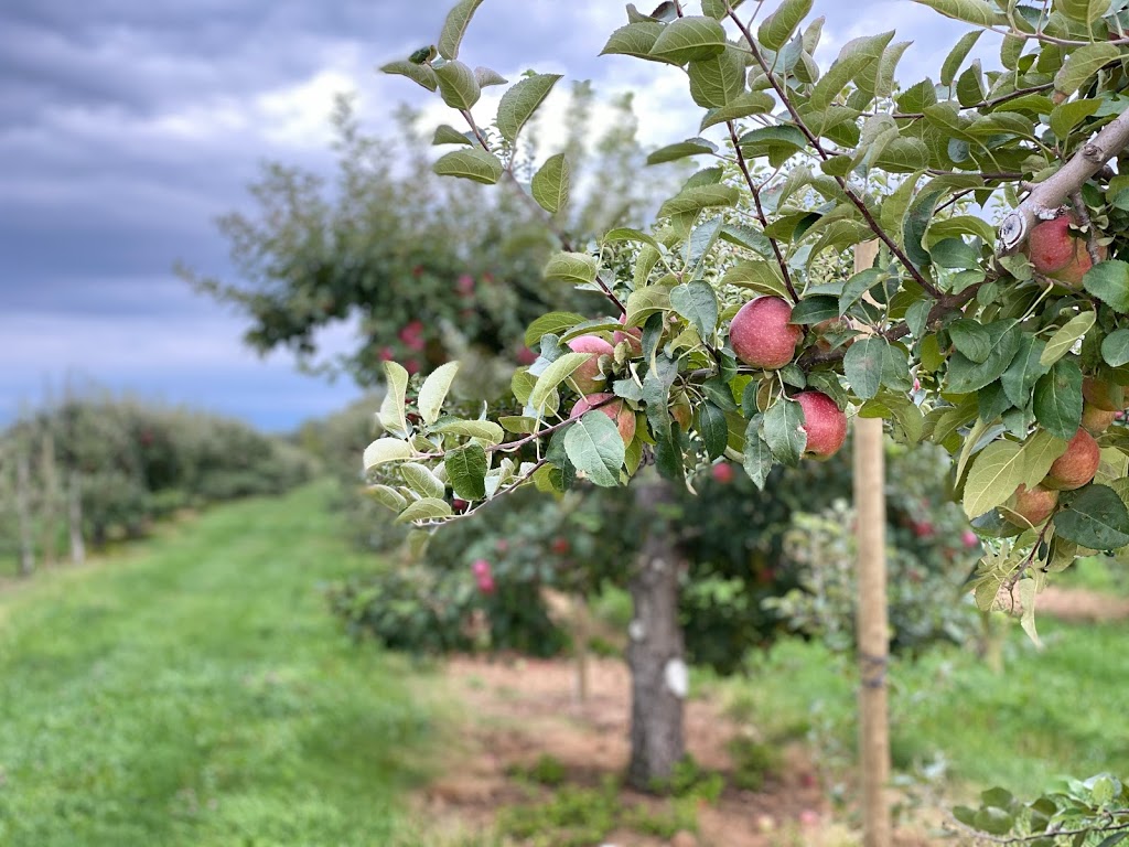 Dixie Orchards | 14309 Dixie Rd, Inglewood, ON L7C 2M8, Canada | Phone: (905) 838-5888