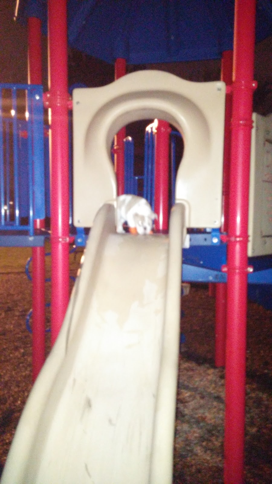 Hopedale Park | 1436 Tansley Dr, Oakville, ON L6L 4E9, Canada | Phone: (905) 901-3007